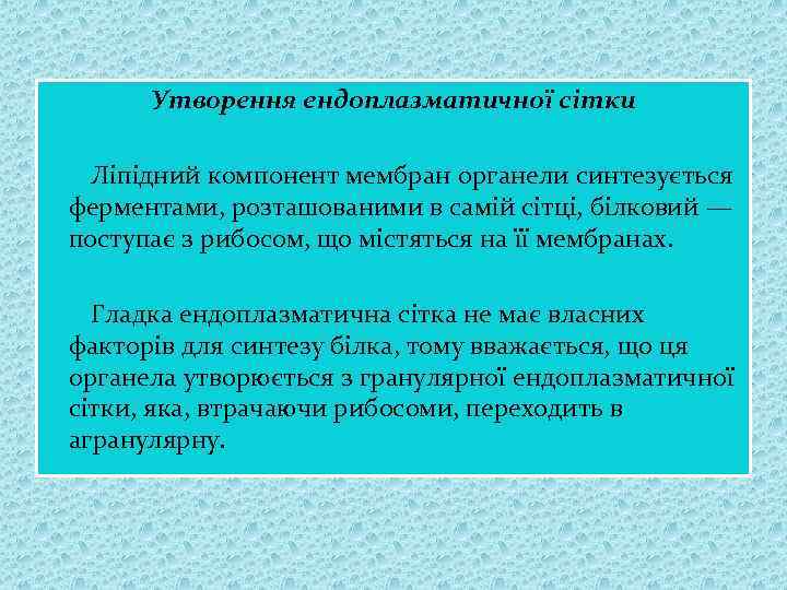 Утворення ендоплазматичної сітки Ліпідний компонент мембран органели синтезується ферментами, розташованими в самій сітці, білковий