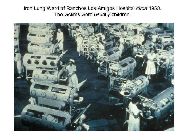 Iron Lung Ward of Ranchos Los Amigos Hospital circa 1953. The victims were usually