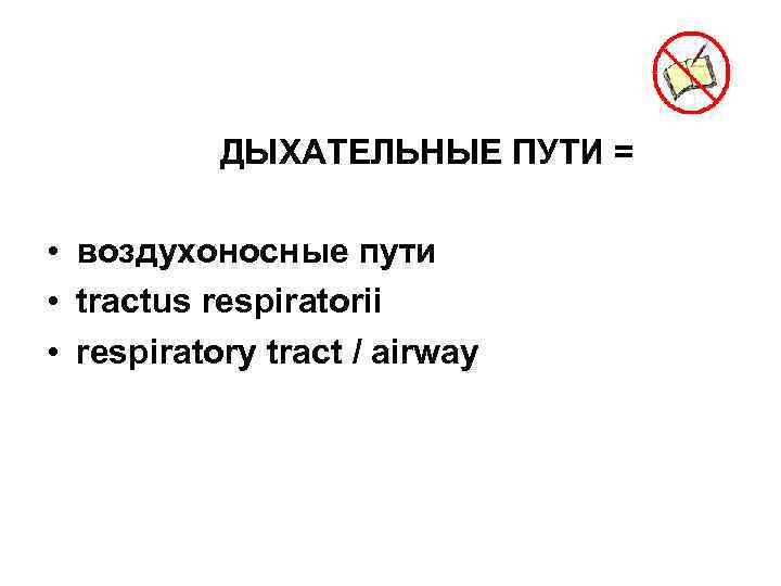 ДЫХАТЕЛЬНЫЕ ПУТИ = • воздухоносные пути • tractus respiratorii • respiratory tract / airway