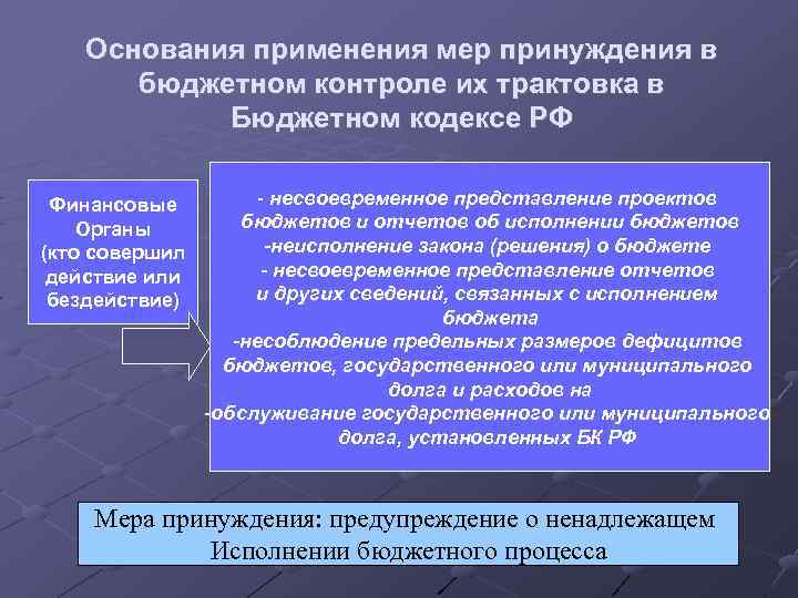 Основания применения мер принуждения в бюджетном контроле их трактовка в Бюджетном кодексе РФ Финансовые