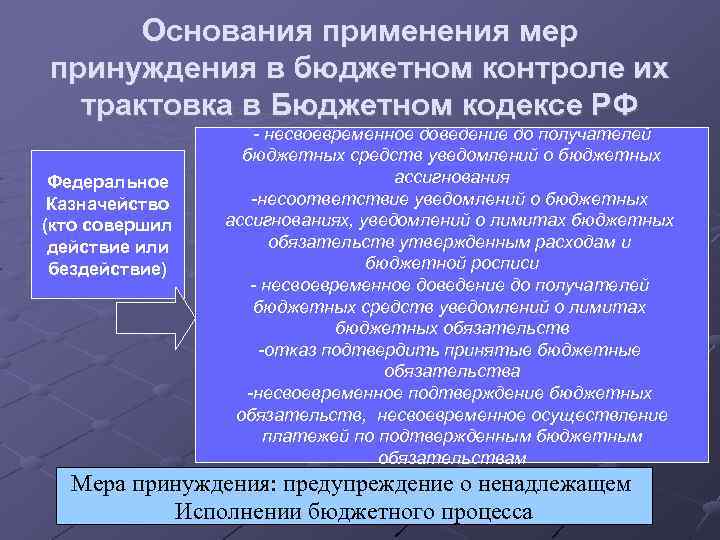 Основания применения мер принуждения в бюджетном контроле их трактовка в Бюджетном кодексе РФ Федеральное