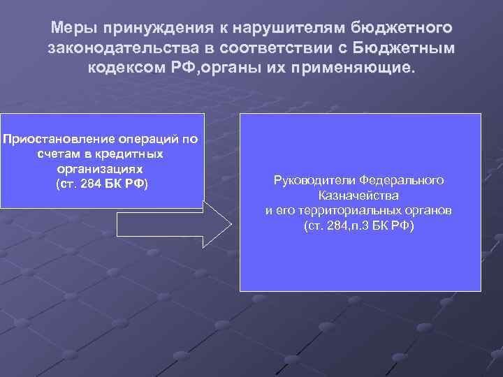 Меры принуждения к нарушителям бюджетного законодательства в соответствии с Бюджетным кодексом РФ, органы их
