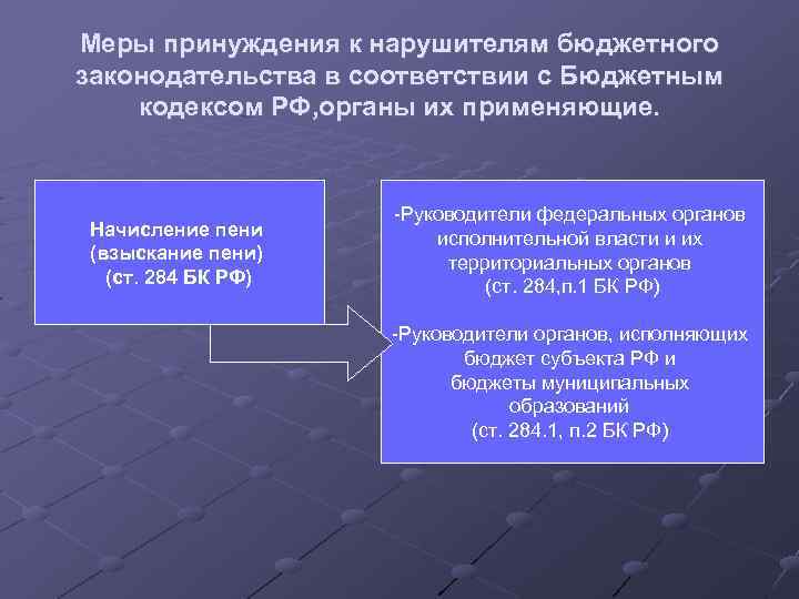 Меры принуждения к нарушителям бюджетного законодательства в соответствии с Бюджетным кодексом РФ, органы их