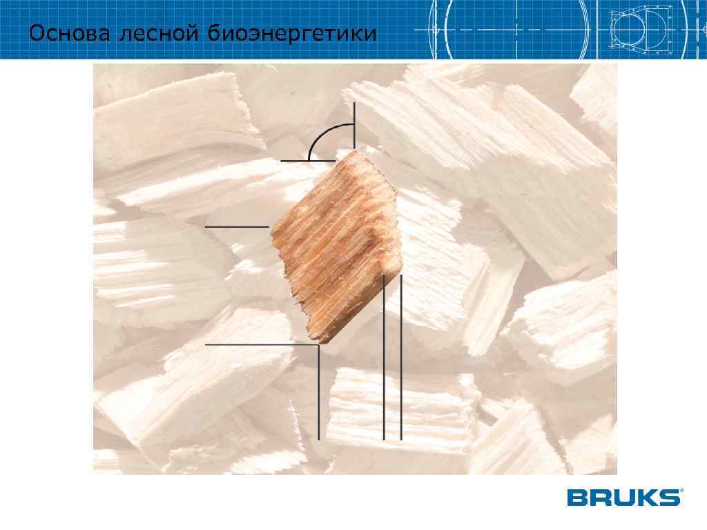 Основа лесной биоэнергетики 