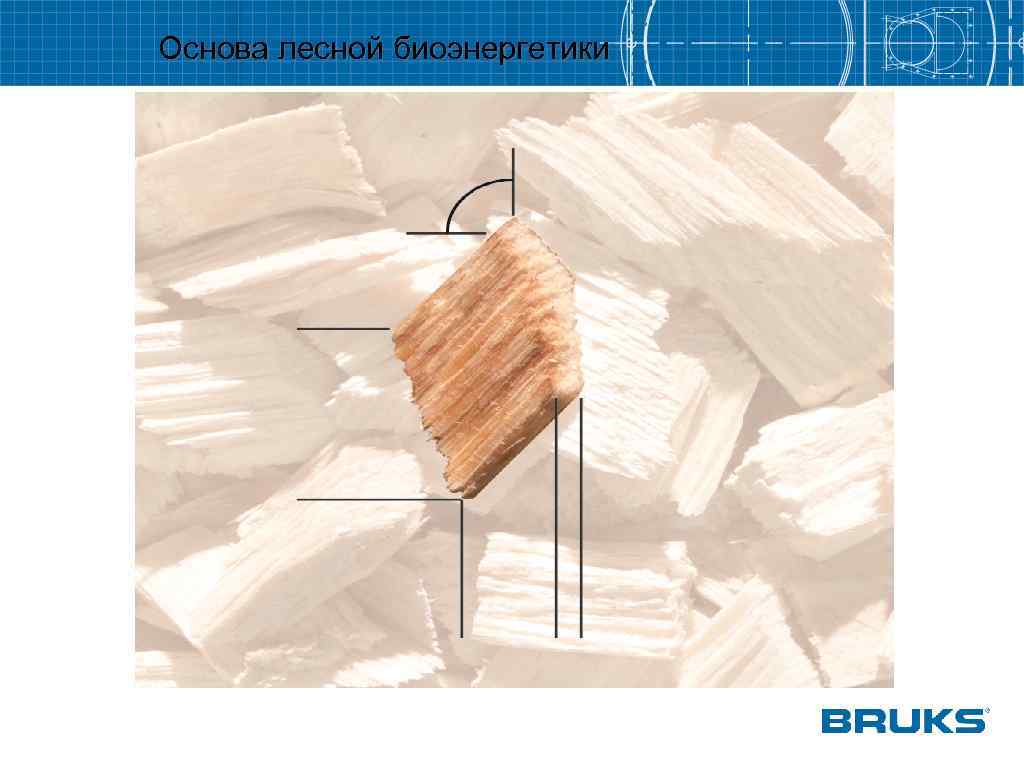 Основа лесной биоэнергетики 