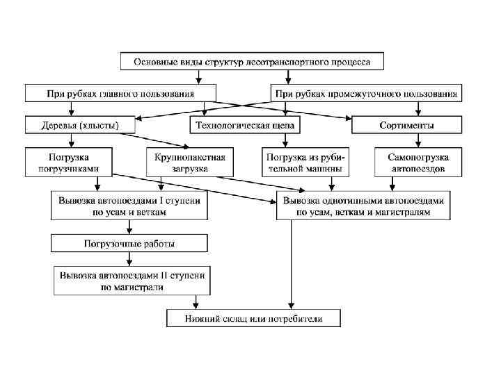 Транспортно технологические схемы водного транспорта леса
