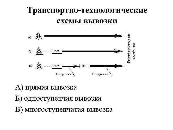 Транспортно-технологические схемы вывозки А) прямая вывозка Б) одноступенчая вывозка В) многоступенчатая вывозка 