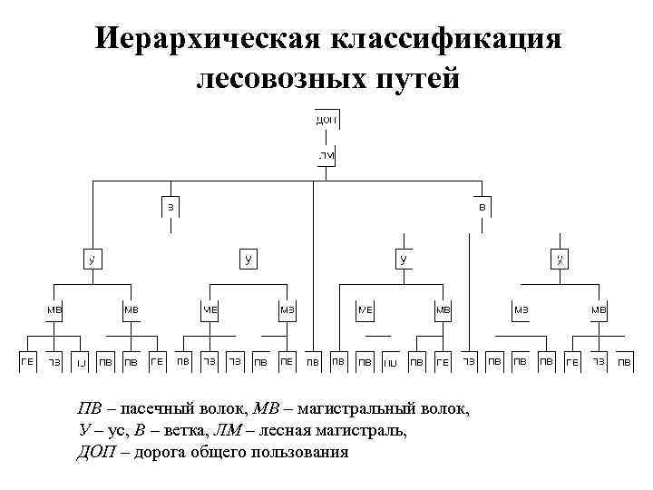 Иерархическая классификация лесовозных путей ПВ – пасечный волок, МВ – магистральный волок, У –