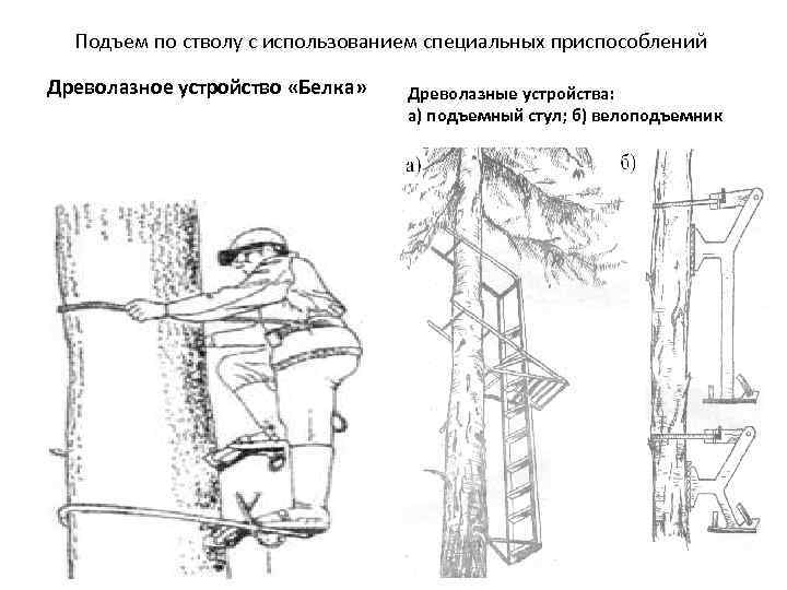 Подъем по стволу с использованием специальных приспособлений Древолазное устройство «Белка» Древолазные устройства: а) подъемный