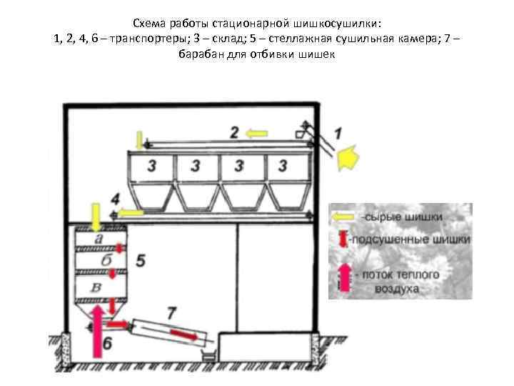 Схема работы стационарной шишкосушилки: 1, 2, 4, 6 – транспортеры; 3 – склад; 5