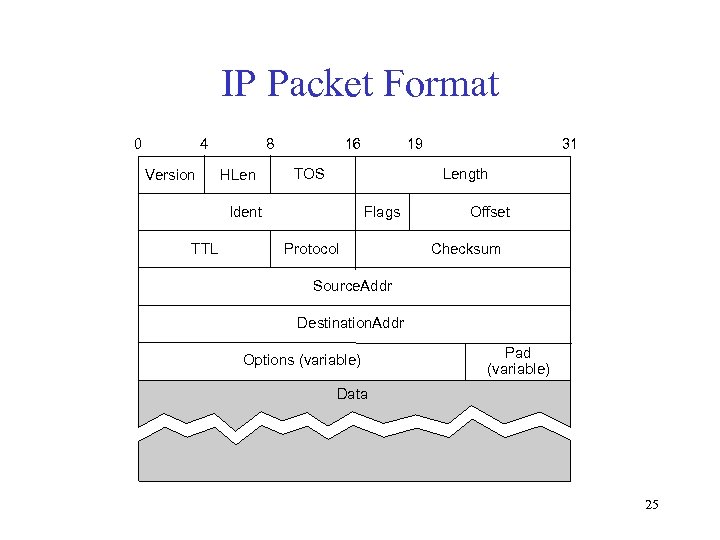 IP Packet Format 0 4 Version 8 HLen 16 TOS 31 Length Ident TTL