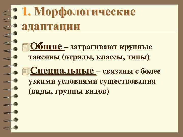 1. Морфологические адаптации 4 Общие – затрагивают крупные таксоны (отряды, классы, типы) 4 Специальные