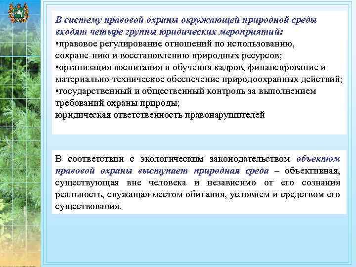 Управление в области охраны окружающей среды схема