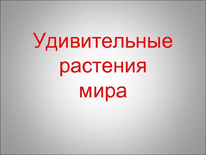 Удивительные растения мира 