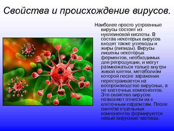 Откуда вирус. Гипотеза клеточного происхождения вирусов. Происхождение и Эволюция вирусов. Вирусы-мельчайшие возбудители инфекционных заболеваний. Простые вирусы состоят из.