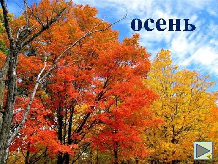 осень 