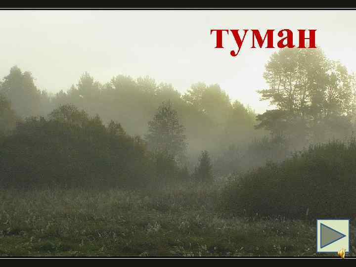 туман 