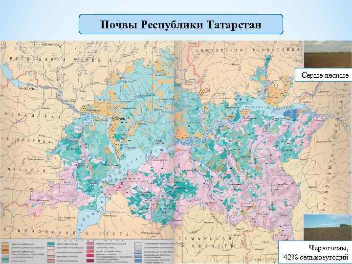 Почвы Республики Татарстан Серые лесные 2 Черноземы, 42% сельхозугодий 