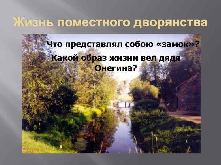 Жизнь поместного дворянства Что представлял собою «замок» ? Какой образ жизни вел дядя Онегина?