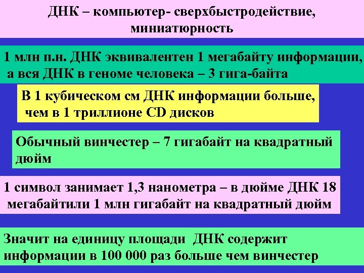 ДНК – компьютер- сверхбыстродействие, миниатюрность 1 млн п. н. ДНК эквивалентен 1 мегабайту информации,