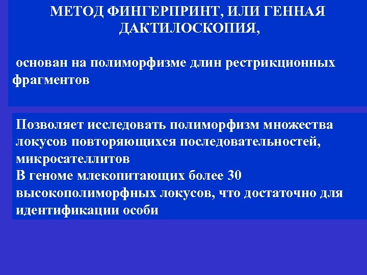 МЕТОД ФИНГЕРПРИНТ, ИЛИ ГЕННАЯ ДАКТИЛОСКОПИЯ, основан на полиморфизме длин рестрикционных фрагментов Позволяет исследовать полиморфизм
