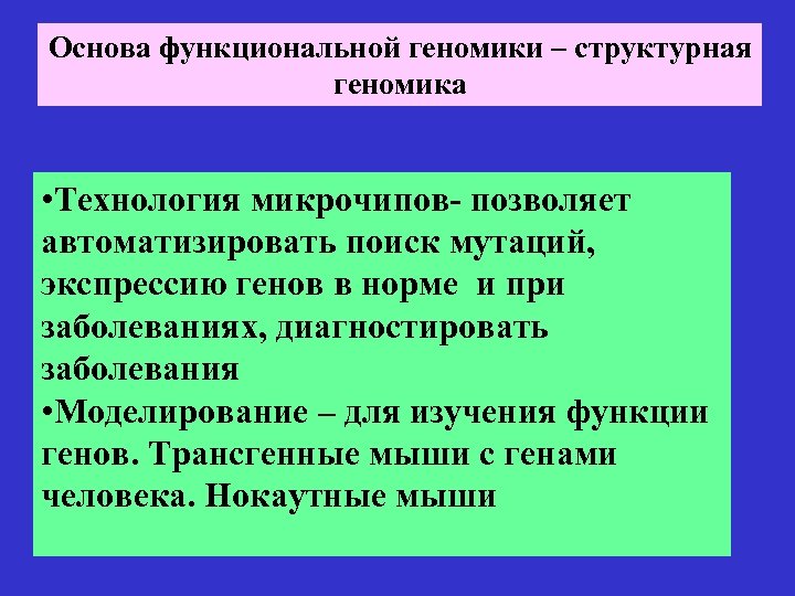 Основа функциональной геномики – структурная геномика • Технология микрочипов- позволяет автоматизировать поиск мутаций, экспрессию