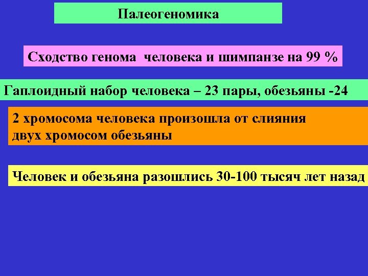 Палеогеномика Сходство генома человека и шимпанзе на 99 % Гаплоидный набор человека – 23