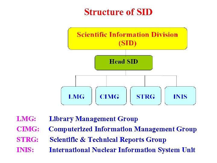 Structure of SID LMG: CIMG: STRG: INIS: Library Management Group Computerized Information Management Group