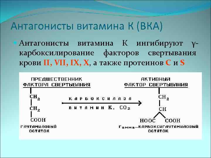 Антагонисты витамина К (ВКА) Антагонисты витамина К ингибируют γкарбоксилирование факторов свертывания крови II, VII,