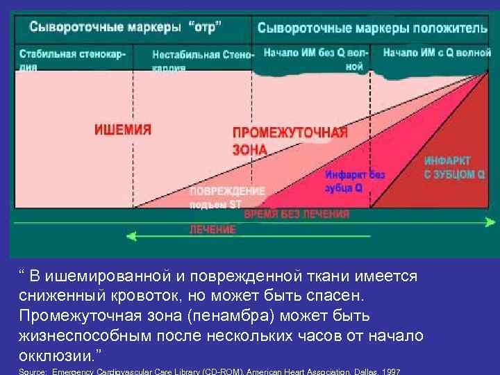 “ В ишемированной и поврежденной ткани имеется сниженный кровоток, но может быть спасен. Промежуточная