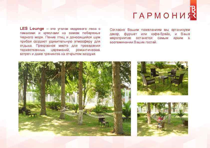 ГАРМОНИЯ LES Lounge – это уголок кедрового леса с гамаками и креслами на самом