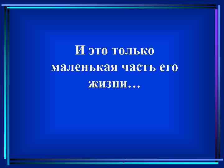 И это только маленькая часть его жизни… 