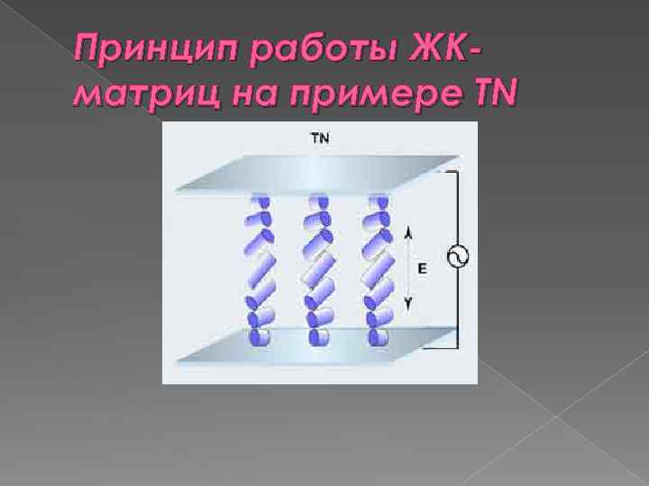 Принцип работы ЖКматриц на примере TN 