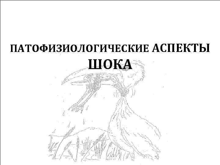 ПАТОФИЗИОЛОГИЧЕСКИЕ АСПЕКТЫ ШОКА 