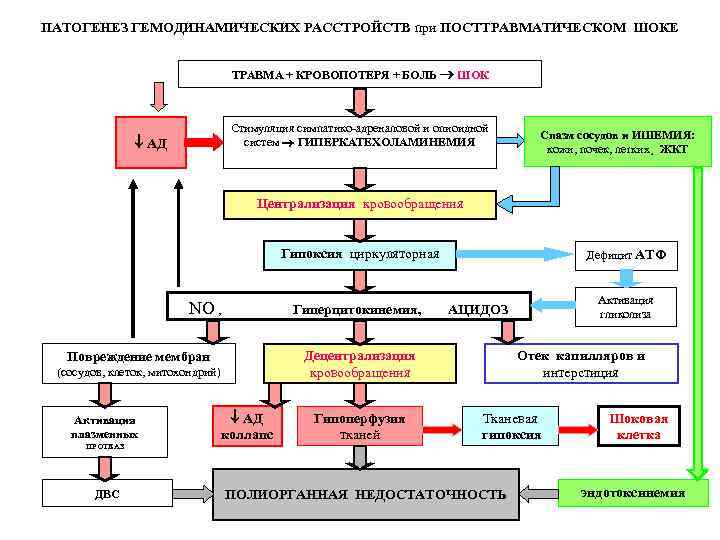 ПАТОГЕНЕЗ ГЕМОДИНАМИЧЕСКИХ РАССТРОЙСТВ при ПОСТТРАВМАТИЧЕСКОМ ШОКЕ ТРАВМА + КРОВОПОТЕРЯ + БОЛЬ ШОК Стимуляция симпатико-адреналовой