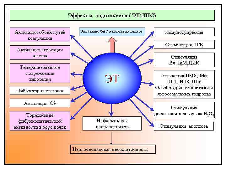 Эффекты эндотоксина ( ЭТЛПС) Активация ФНО и каскада цитокинов Активация обоих путей коагуляции иммуносупрессия