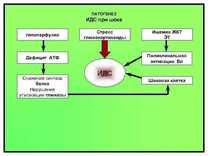 ПАТОГЕНЕЗ ИДС при шоке гипоперфузия Стресс глюкокортикоиды Поликлональная активация Вл Дефицит АТФ Снижение синтеза