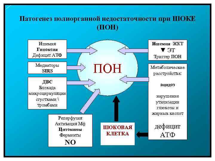 Патогенез полиорганной недостаточности при ШОКЕ (ПОН) Ишемия Гипоксия Дефицит АТФ Ишемия ЖКТ ▼ ЭТ