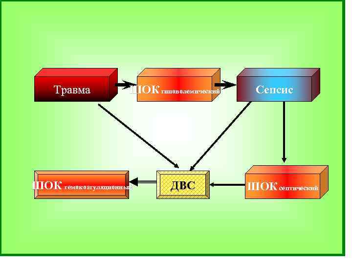 Травма ШОК гиповолемический ШОК гемокоагуляционный ДВС Сепсис ШОК септический 
