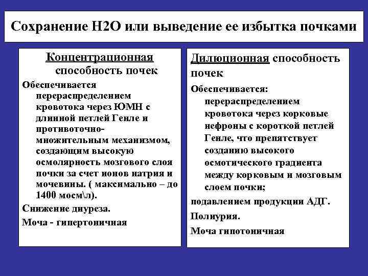 Сохранение Н 2 О или выведение ее избытка почками Концентрационная способность почек Обеспечивается перераспределением