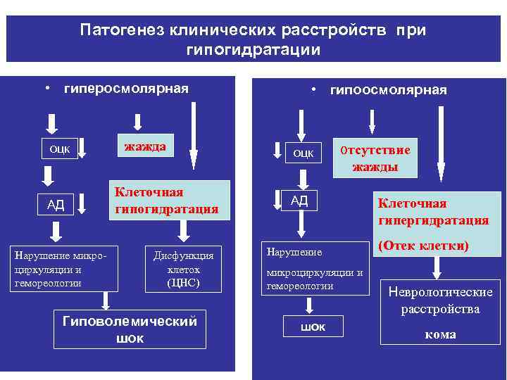 Патогенез клинических расстройств при гипогидратации • гиперосмолярная оцк АД Нарушение микроциркуляции и гемореологии жажда