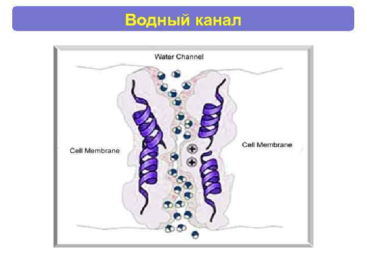 Водный канал 