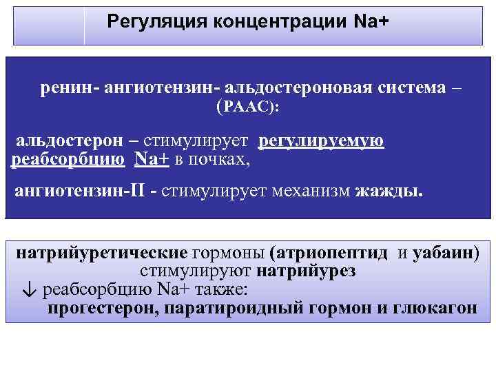 Регуляция концентрации Na+ ренин- ангиотензин- альдостероновая система – (РААС): альдостерон – стимулирует регулируемую реабсорбцию