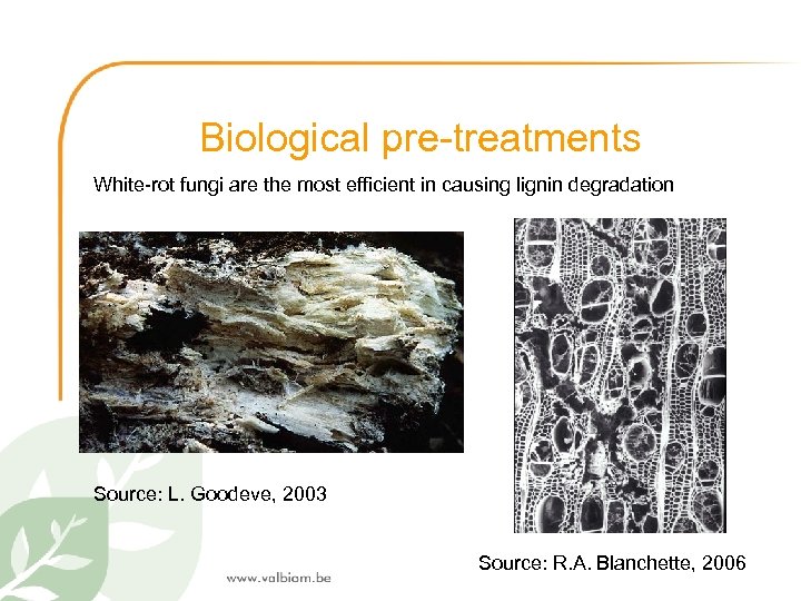 Biological pre-treatments White-rot fungi are the most efficient in causing lignin degradation Source: L.