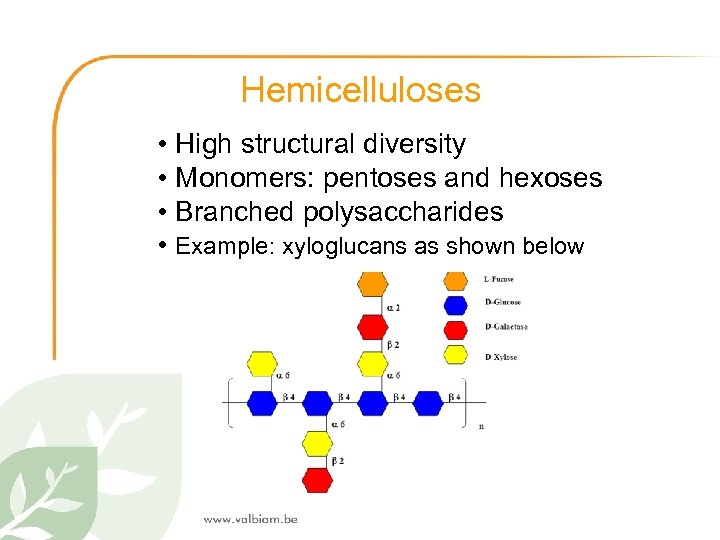 Hemicelluloses • High structural diversity • Monomers: pentoses and hexoses • Branched polysaccharides •