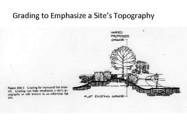 Grading to Emphasize a Site’s Topography 