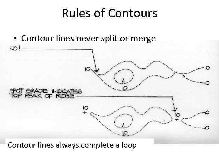 Rules of Contours • Contour lines never split or merge Contour lines always complete