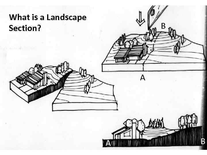 What is a Landscape Section? B A A B 