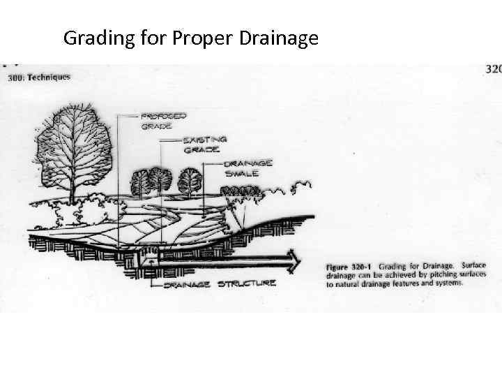 Grading for Proper Drainage 