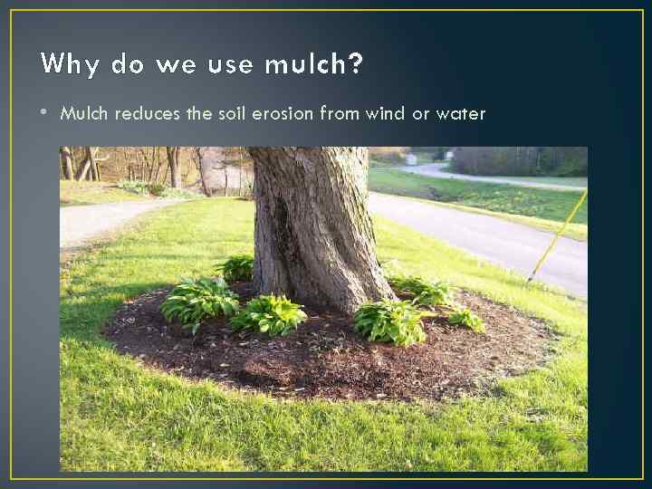 Why do we use mulch? • Mulch reduces the soil erosion from wind or